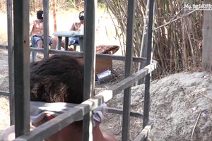 Rough muscular guys are kidnapping poor boy and getting him in a cage